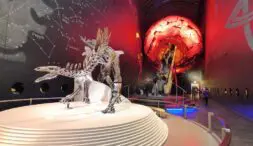 Entre til London Naturhistorisk museum