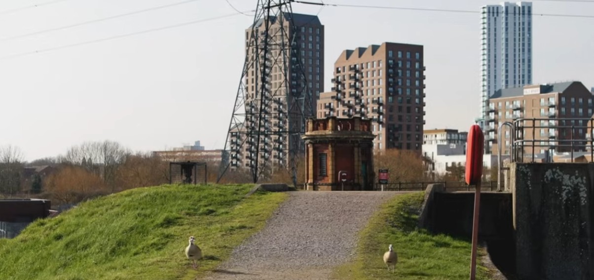 Walthamstow Wetlands - gæs